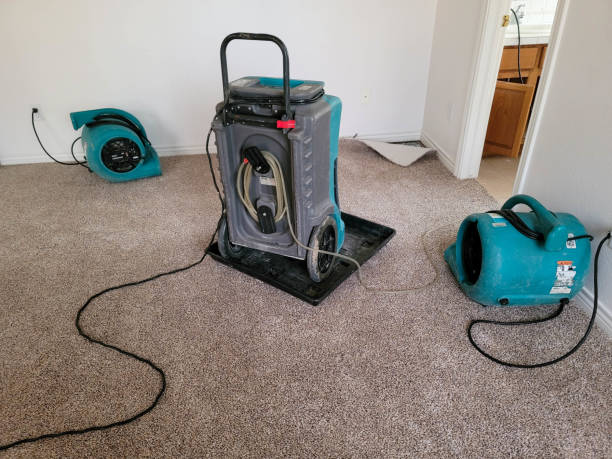 Best Fire Damage Restoration  in Parker, TX