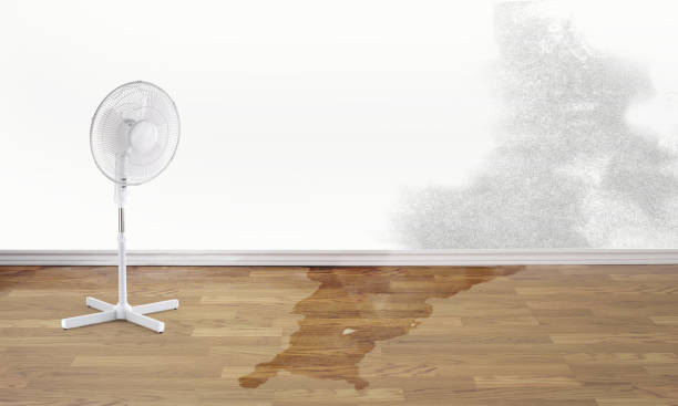 Best 24/7 water damage repair  in Parker, TX