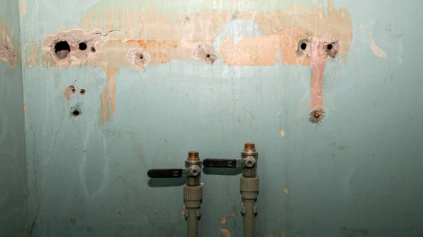 Best Carpet water damage restoration  in Parker, TX