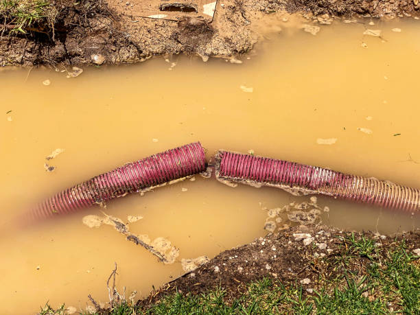 Best Water damage cleanup near me  in Parker, TX