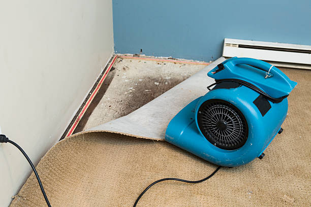 Best Water damage restoration cost  in Parker, TX